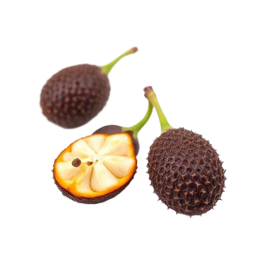 Fruto de noni fresco